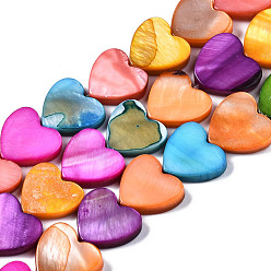Mixed Color Natural Freshwater Shell Beads Strands, Dyed, Heart, Mixed Color, 12x13x3mm, Hole: 1mm, about 35pcs/strand, 14.80~15.08 inch(37.6~38.3cm)