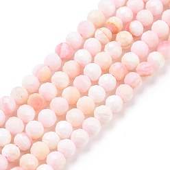Other Sea Shell Natural Shell Beads, Faceted, Round, 3mm, Hole: 0.6mm, about 126pcs/strand, 15.16 inch(38.5cm)