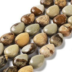Jaspe Image Image Naturel jaspe perles brins, larme, 17.5~18x13x6mm, Trou: 1.2mm, Environ 22 pcs/chapelet, 15.24 pouce (38.7 cm)