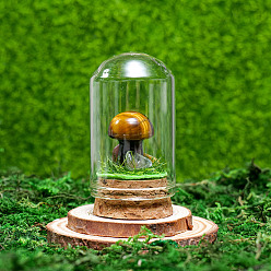Tiger Eye Glass Dome Cover with Natural Tiger Eye Mushroom Inside, Cloche Bell Jar Terrarium with Cork Base, Micro Landscape Garden Decoration Accessories, 30x55mm