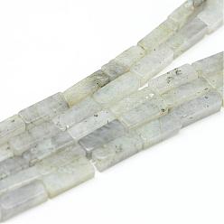Labradorite Labradorite naturelle rangées de perles, cuboïde, 13~14x4~5x4~5mm, Trou: 1mm, Environ 29~31 pcs/chapelet, 15.3 pouce