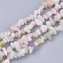 Morganite Natural Morganite Beads Strands, Chip, 5~15x5~10x2~7mm, Hole: 1mm, about  245~270pcs/Strand, 33.07~33.85 inch(84~86cm)