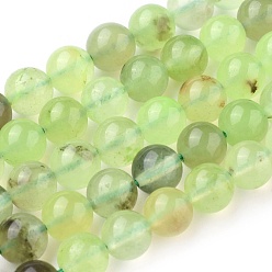 Prehnite Natural Prehnite Beads Strands, Round, 8mm, Hole: 1mm, about 47~48pcs/strand, 15.7 inch(40cm)