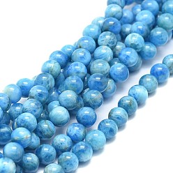 Apatite Natural Apatite Beads Strands, Round, 6mm, Hole: 0.7mm, about 62pcs/strand, 15.75 inch(40cm)