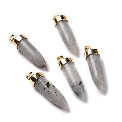 Labradorite Pendentifs pointus labradorite naturelle, charmes de cône, avec les accessoires en fer et en alliage de ton doré, 42.5~46x14~15mm, Trou: 8x6mm