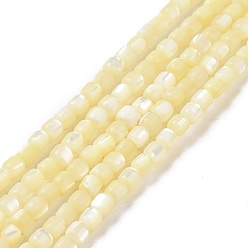 Pale Goldenrod Natural Trochus Shell Beads Strands, Dyed, Column, Pale Goldenrod, 3.5x3.5mm, Hole: 0.8mm, about 113pcs/strand, 15.59''(39.6cm)