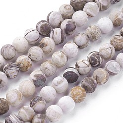 Petrified Wood Natural America Petrified Wood Beads Strands, Frosted, Round, 6mm, Hole: 1mm, about 60~68pcs/strand, 15  inch~15.27 inch(38.2~38.8cm)