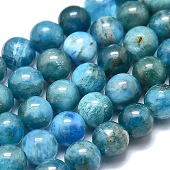 Apatite Natural Apatite Beads Strands, Round, 6~6.5mm, Hole: 0.6mm, about 66pcs/Strand, 15.35 inch(39cm)