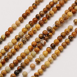 Jaspe Image Naturelle jaspe d'image rangées de perles rondes, 2mm, Trou: 0.8mm, Environ 184 pcs/chapelet, 16 pouce
