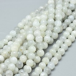 White Moonstone Naturelles perles pierre de lune blanc brins, ronde, 6mm, Trou: 0.8mm, Environ 63 pcs/chapelet, 15.75 pouce (40 cm)
