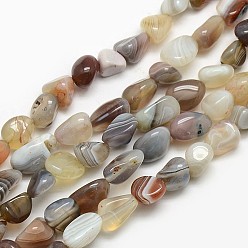 Botswana Agate Natural Botswana Agate Nuggets Beads Strands, 8~12x8~18mm, Hole: 1mm, about 44pcs/strand, 15.5 inch