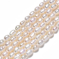 Coquillage De Mer Brins de perles de culture d'eau douce naturelles, riz, couleur de coquillage, 3~3.5x2.5mm, Trou: 0.6mm, Environ 90~92 pcs/chapelet, 13.78 pouce (35 cm)