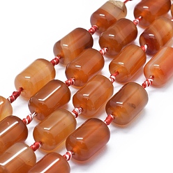Chocolate Natural Carnelian Beads Strands, Dyed & Heated, Column, Chocolate, 20~21x13~14mm, Hole: 2.5mm, about 13pcs/strand, 14.5 inch~15.3 inch(37~39cm)