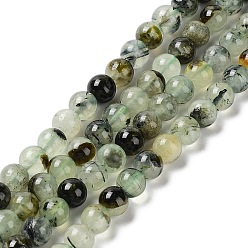 Prehnite Natural Prehnite Beads Strands, Round, Grade AB, 6mm, Hole: 1mm, about 67pcs/strand, 15.3 inch(39cm).
