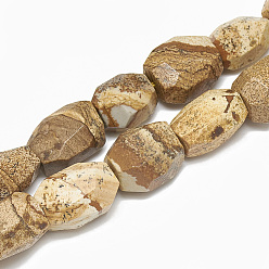 Picture Jasper Natural Picture Jasper Beads Strands, Nuggets, 19~23x15~18mm, Hole: 2mm, about 19pcs/strand, 15.3 inch