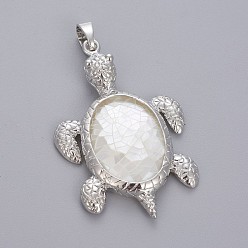 White Shell White Shell Pendants, with Brass Findings, Sea Turtle, Platinum, 49x31.5x5.5mm, Hole: 8x5mm