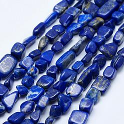 Lapis Lazuli Natural Lapis Lazuli Beads Strands, Tumbled Stone, Nuggets, Grade AB, 5~12x4~9mm, Hole: 1mm, 15.7 inch~15.9 inch(40~40.5cm)