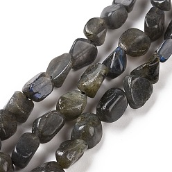 Labradorite Natural Larvikite Beads Strands, Nuggets, 6~10.5x6~7.5x4~5mm, Hole: 0.8mm, about 50pcs/strand, 15.94''(40.5cm)