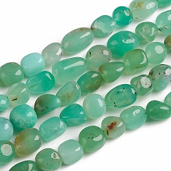 Australia Jade Natural Chrysoprase Beads Strands, Tumbled Stone, Nuggets, 10~15x7.5~11.5x7.5~12.5mm, Hole: 1mm, about 36pcs/Strand, 15.67 inch(39.8 cm)