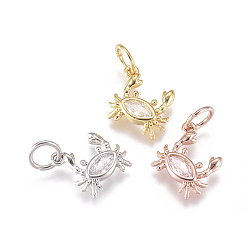 Mixed Color Brass Charms, with Micro Pave Cubic Zirconia and Jump Rings, Crab, Clear, Mixed Color, 9x9x2mm, Hole: 3.5mm
