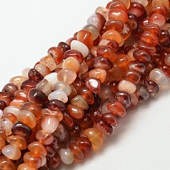 Carnelian Dyed Natural Carnelian Nuggets Beads Strands, 7~9x4~9mm, Hole: 1mm, about 72~83pcs/strand, 15.7 inch