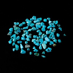 Howlite Perles de copeaux de magnésite naturelle, teints et chauffée, pas de trous / non percés, 2~12x2~10x1~3mm, environ11200 pcs / 1000 g