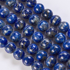 Lapis Lazuli Lapis-lazuli, brins de perles naturels , ronde, 10mm, Trou: 1mm, Environ 39 pcs/chapelet, 15.5 pouce