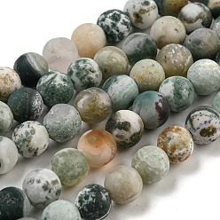 Tree Agate Natural Tree Agate Frosted Agate Round Gemstone Beads Strands, 8mm, Hole: 1mm, about 47pcs/strand, 15 inch