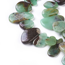 Serpentine Natural Chrysoprase Beads Strands, Top Drilled Beads, Teardrop, 12~40x9~18x2~6mm, Hole: 0.6mm, about 43pcs/strand, 16.5 inch(42cm)
