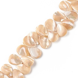 Trochus Shell Natural Trochid Shell/Trochus Shell Beads, Top Drilled Beads, Teardrop, 18.5x13x3mm, Hole: 0.8mm