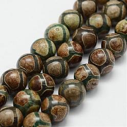 Tortoise Pattern Motif de dos de tortue de style tibétain brins de perles dzi, perles en agate naturelles, teints et chauffée, ronde, vert olive, 11.5~12mm, Trou: 2mm, Environ 30 pcs/chapelet, 14.2 pouces (360 mm)