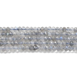 Лабрадорита Природные лабрадорита бисер нитей, граненые, рондель, 3x2 мм, около 170 шт / нитка, 15.5 дюйм (39.37 см)