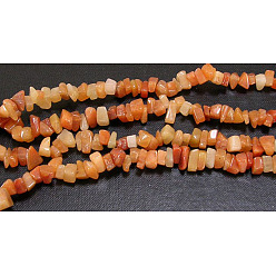 Red Aventurine Natural Red Aventurine Chips Beads Strands, 5~8mm, Hole: 0.3mm, about 32~32.5 inch