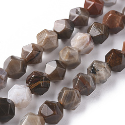 Petrificación de Madera Petrificados perlas de madera hebras naturales, cuentas redondas con corte de estrella, facetados, 8 mm, agujero: 1 mm, sobre 47 unidades / cadena, 14.96 pulgada (38 cm)