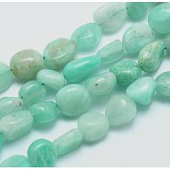 Amazonite Chapelets de perles amazonite naturelles  , pierre tombée, nuggets, 6~8mm, Trou: 0.8mm, Environ 45~47 pcs/chapelet, 15.7 pouce (40 cm)