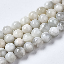 White Moonstone Natural White Moonstone Beads Strands, Round, 8.5mm, Hole: 0.9mm, about 46pcs/strand, 15.24 inch(38.7cm)