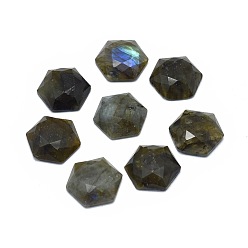Labradorite Cabochons de labradorite naturelle, hexagone, facette, 16x18x5~5.5mm