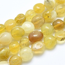 Yellow Opal Natural Yellow Opal Beads Strands, Tumbled Stone, Nuggets, 8~10mm, Hole: 0.8mm, about 30~35pcs/strand, 15.7 inch(40cm)