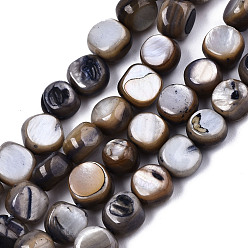 Bleu Ardoise Eau douce naturelle de coquillage perles brins, teint, nuggets, bleu ardoise, 7~9x7~8x2.5~6mm, Trou: 0.8mm, Environ 48~50 pcs/chapelet, 14.96~15.74 pouce (38~40 cm)