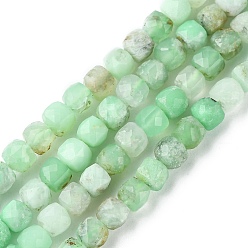 Chrysocolle Brins naturels de perles de chrysoprase, facette, cube, 4~4.5x4~4.5x4~4.5mm, Trou: 0.8~0.9mm, Environ 88~100 pcs/chapelet, 15.35~15.75 pouce (39~40 cm)