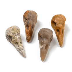 Fossil Coral Natural Fossil Coral Pendants, Bird Head Skull Charms, 47~49x20~22x20~22mm, Hole: 2~2.5mm