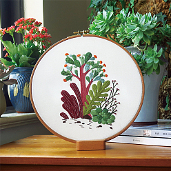 Colorido Kits de inicio de bordado diy con patrón de cactus, incluyendo tela e hilo de bordado, aguja, hoja de instrucciones, colorido, 290x290 mm