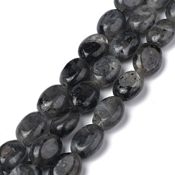 Larvikite Brins de perles de larvikite noires naturelles, ovale, 8x6x3.5~4mm, Trou: 1mm, Environ 45~52 pcs/chapelet, 15.16~15.74 pouce (38.5~40 cm)