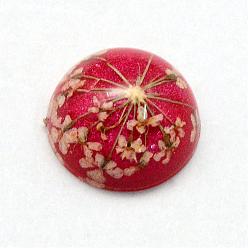 Cerise Resin Cabochons, Dome, Half Round, with Dried Flower inside, Cerise, 11.5~12x6~6.5mm