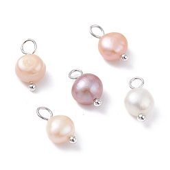 Seashell Color Natural Cultured Freshwater Pearl Charms, with Platinum Brass Ball Head pins, Oval, Seashell Color, 10~12x6.5~8x4~5.5mm, Hole: 2.3~2.6mm