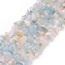Morganite Morganite naturelle perles de puce brins, 5~14x4~10mm, Trou: 1mm, environ 15.5 pouces ~ 16.1 pouces