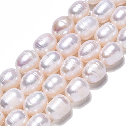 Seashell Color Natural Cultured Freshwater Pearl Beads Strands, Rice, Seashell Color, 10~11.5x8~9mm, Hole: 0.7mm, about 32~33pcs/strand, 13.90 inch~14.37 inch(35.3~36.5cm)