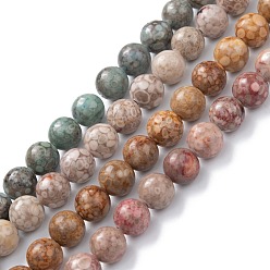 Mixed Color Natural Maifanite/Maifan Stone Beads Strands, Dyed, Round, Mixed Color, 8mm, Hole: 1.2mm, about 47pcs/strand, 15.55''(39.5cm)