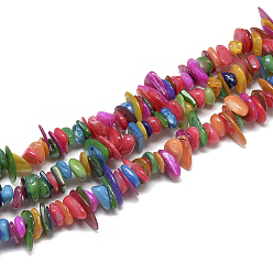 Colorful Freshwater Shell Beads Strands, Dyed, Chip, Colorful, 8~28x6~8x1~4.5mm, Hole: 1mm, about 340~380pcs/strand, 29.9 inch