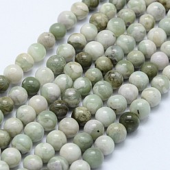 Jade de Paix Brins de perles de jade de la paix naturelle, ronde, 6mm, Trou: 0.8mm, Environ 66 pcs/chapelet, 15.75 pouce (40 cm)